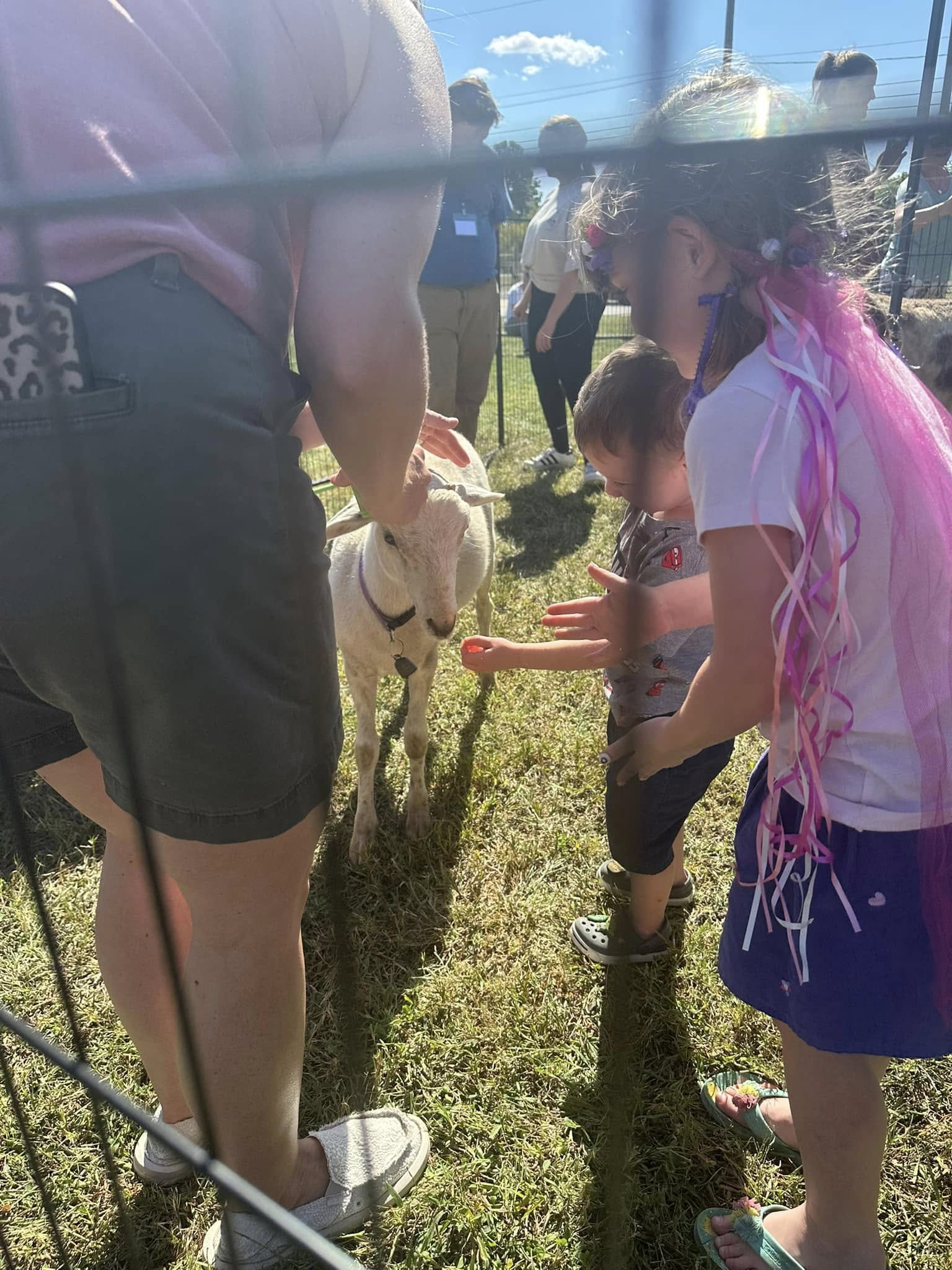 Children gathered around a goat at the petting zoo