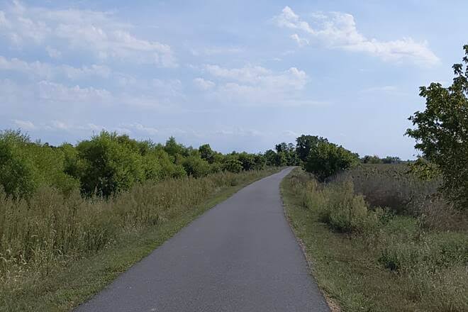 A paved trail stretching between green grasses, shrubs and trees beneath a cloudy summer sky